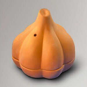 Rachael Ray Cucina Stoneware 4.5-Inch Terracotta Garlic Roaster